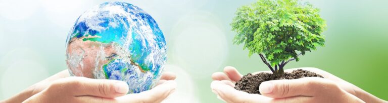 Want A Thriving Business? Focus On Sustainability In Retail!