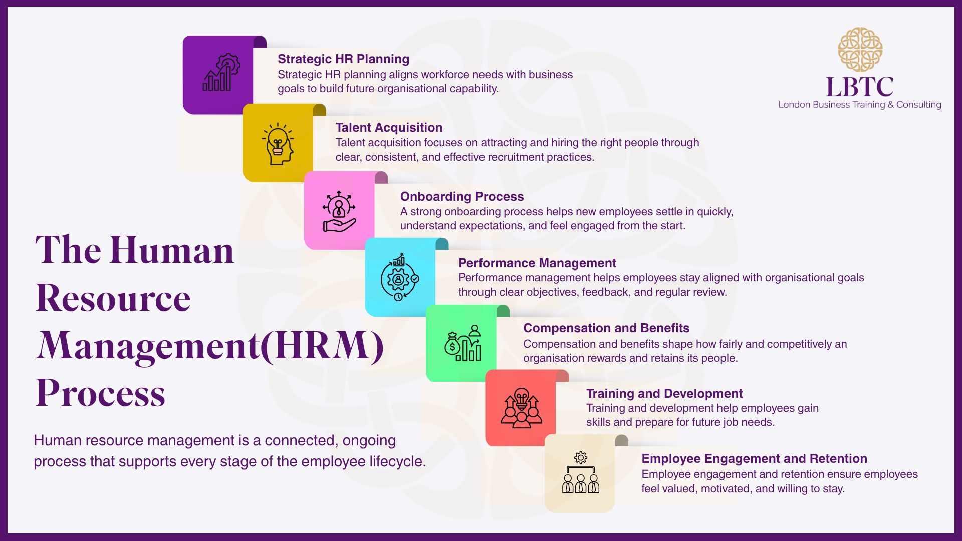 The Human Resource Management Process
