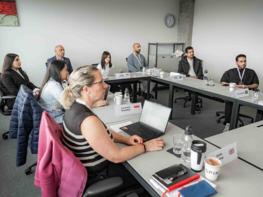 Learning Culture and Strategic Resilience online course