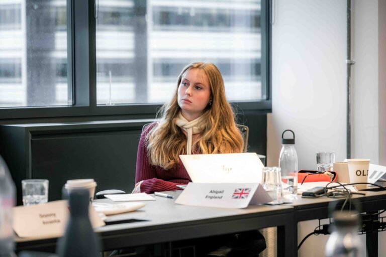 Project Management: The Role of the Board of Directors online course